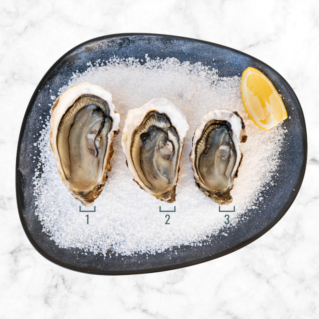 Huîtres Fines Roumégous N°2 I Ouvertes