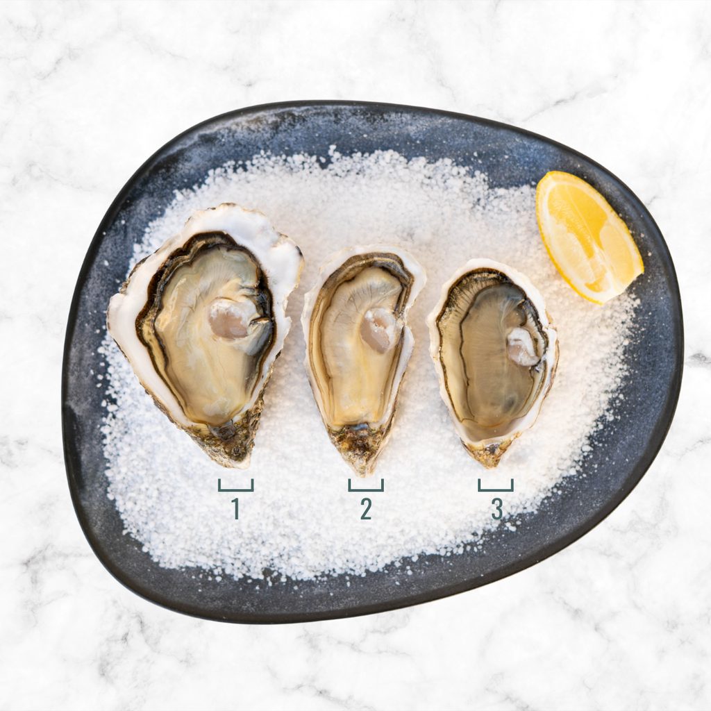 Huîtres Spéciale Roumégous N°3 I Ouvertes